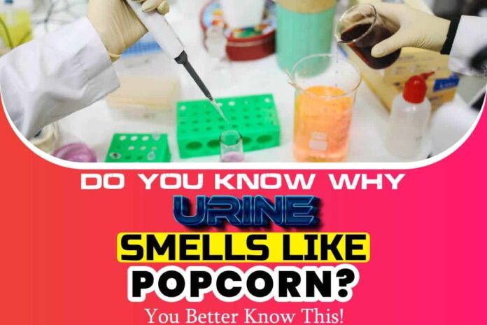 Do You Know Why Urine Smells like Popcorn