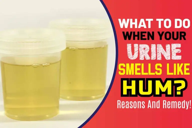 What To Do When Your Urine Smells Like Ham? Reasons And Remedy!