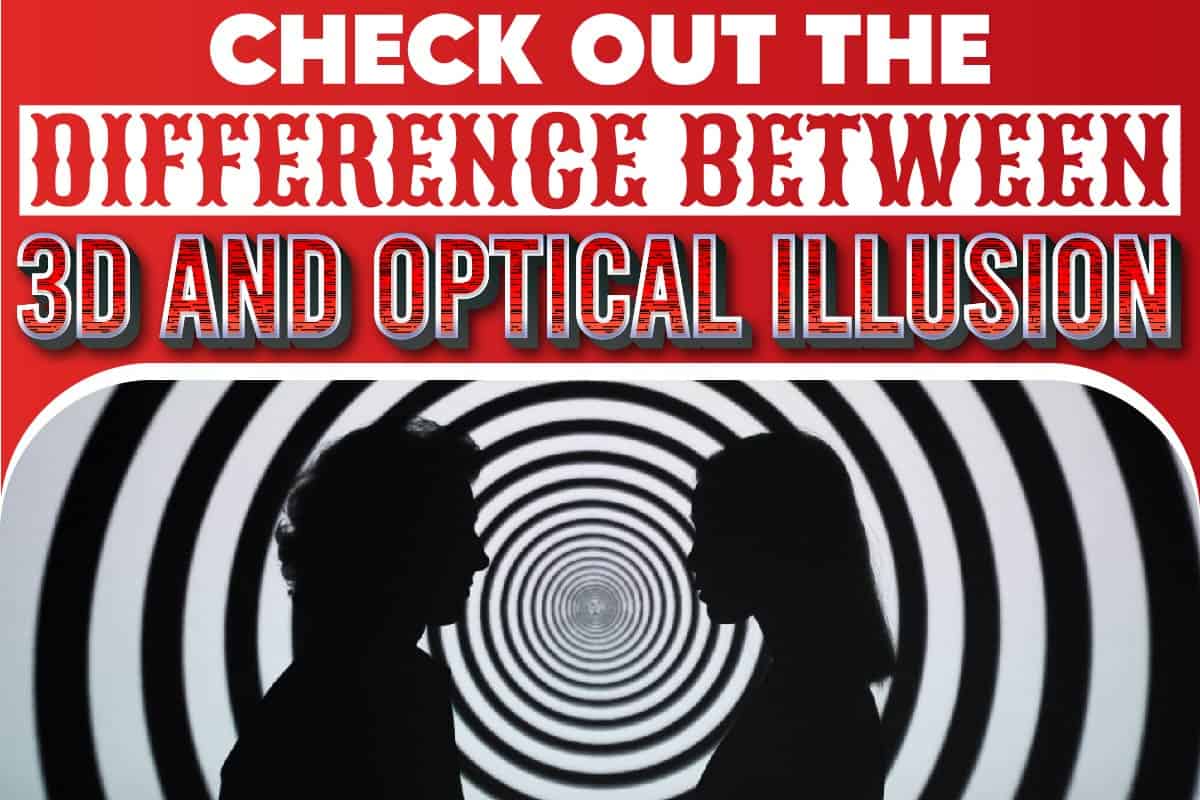 Check Out The Difference Between 3D And Optical Illusion..