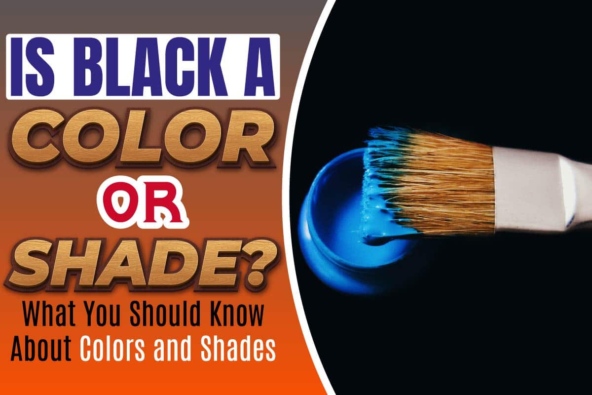 Is Black a Color or Shade