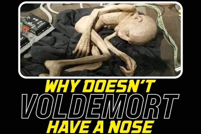 Why Doesn't Voldemort Have A Nose