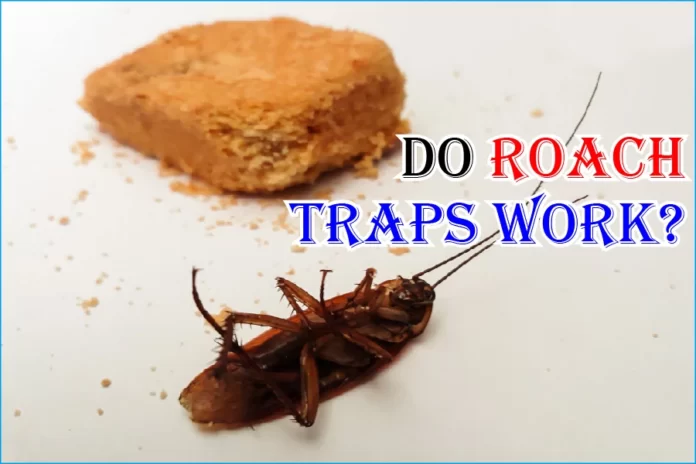 Do Roach Traps Work