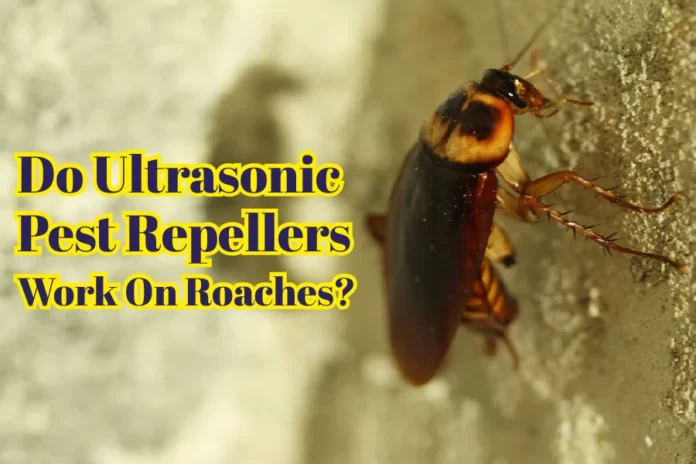 Do Ultrasonic Pest Repellers Work On Roaches