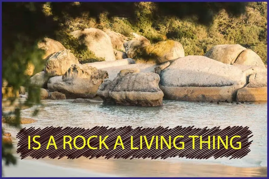 Is A Rock A Living Thing