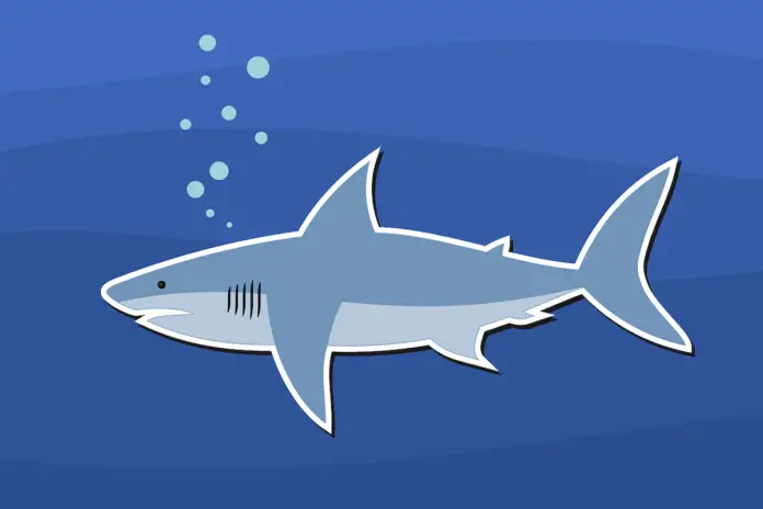 How Fast Can A Mako Shark Swim