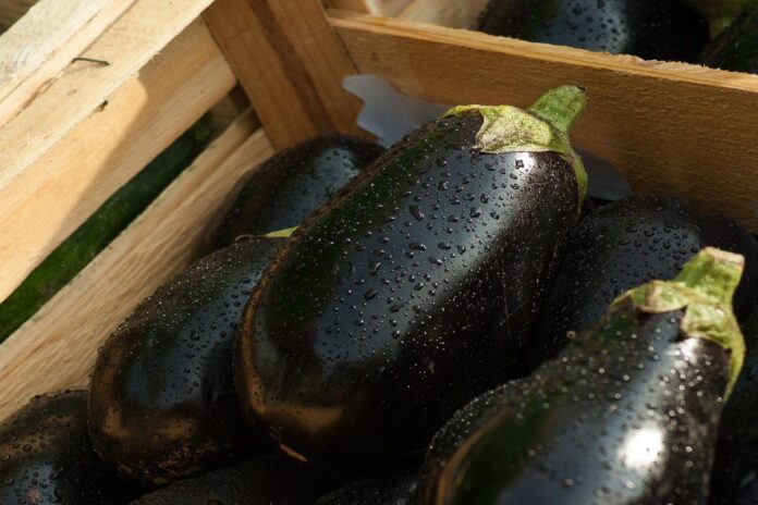 How To Tell If An Eggplant Is Bad