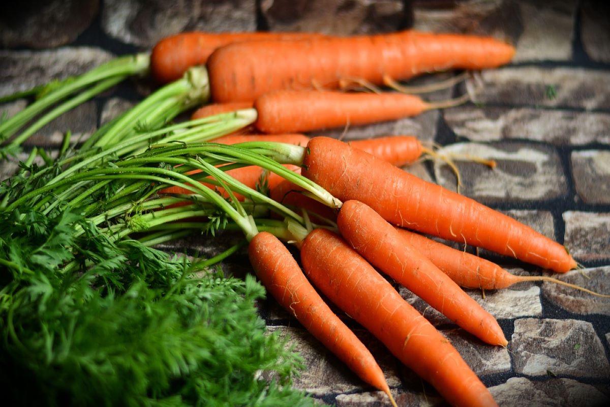 Do Carrots Expire? Here's What To Know - Being Human