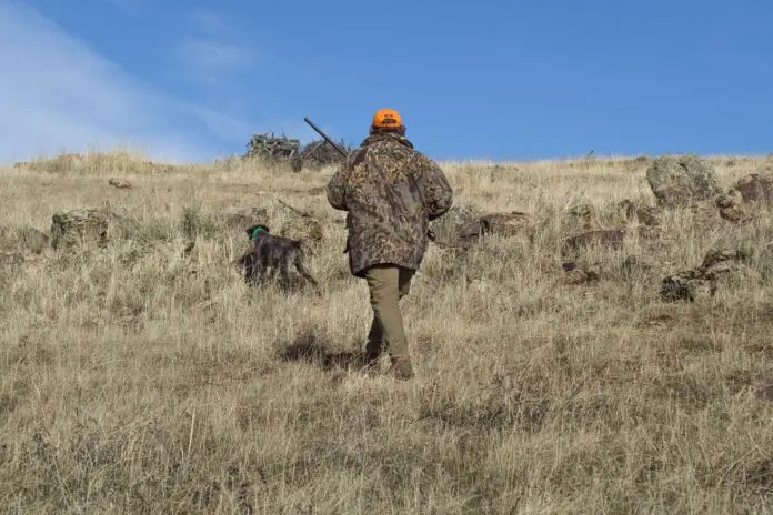 Why Hunters Should Wear Daylight Fluorescent Orange Clothing