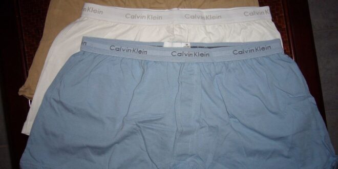 Difference Between Boxers And Briefs