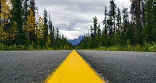 How Long Does Asphalt Take To Dry?