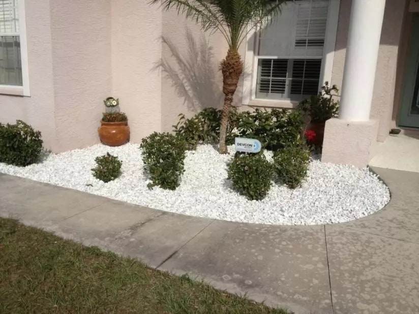 Outdoor Plants In White Rock Landscaping