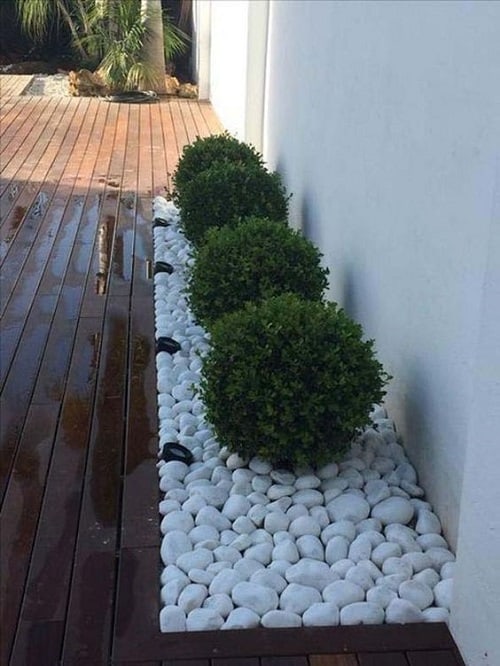 White Topiary Bed With Plants