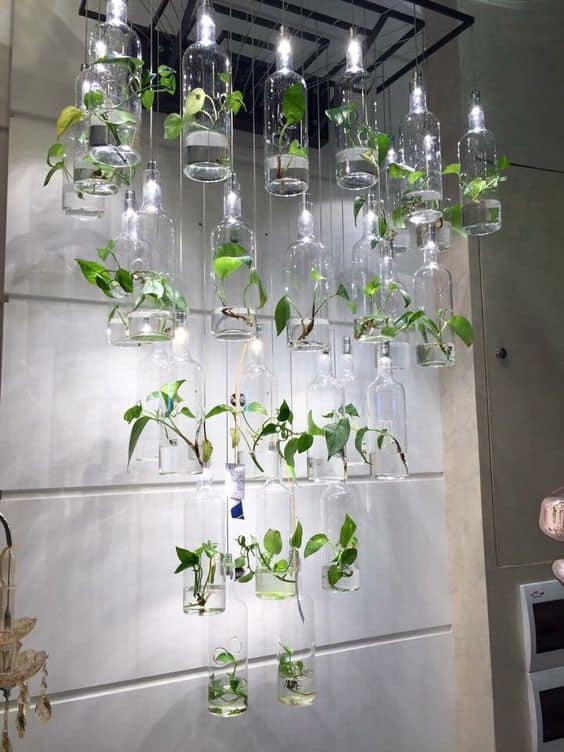 Hanging Glass Bottle Orchids