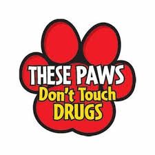 My paws Don’t Touch Drugs Poster