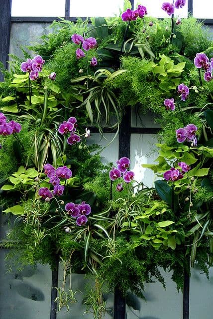 Orchids Wreath 
