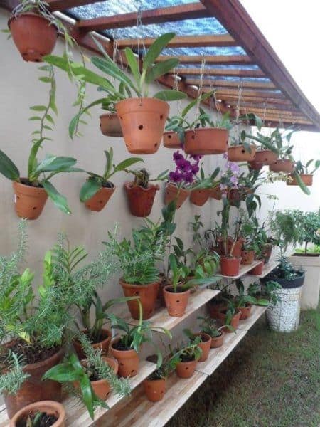 Potted Orchids Hanging Grid Layout