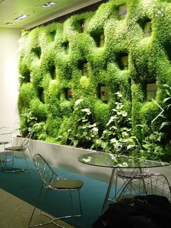 Spongy Grass Wall Design Concept