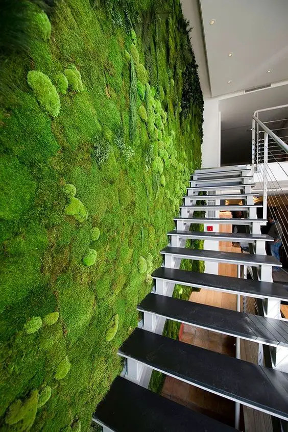 Stairway Wall Grass Concept