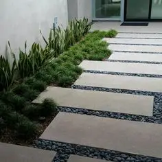 Wall Side Vegetation On White and Black Walkways