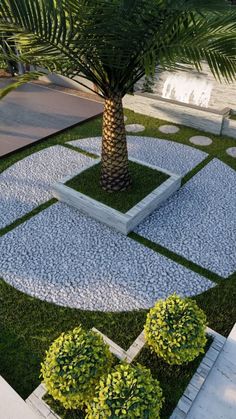 White Rock Garden With Palm Tree Centerpiece 