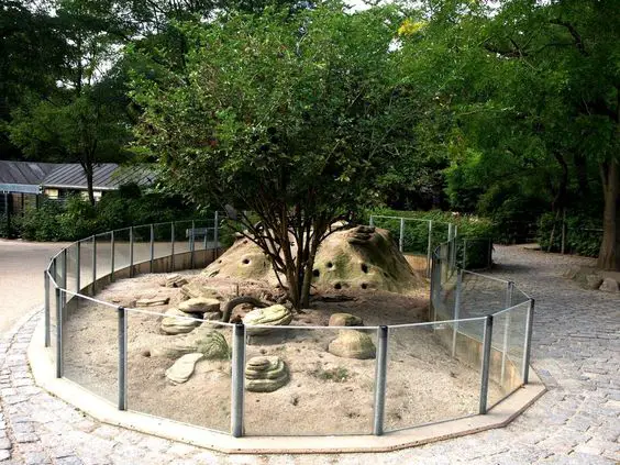 Glass Fence Exhibit Zoo Entrance