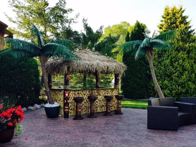 Tiki Hut Sandwiched Between Two Palm Trees