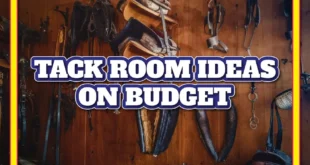 Tack Room Ideas On Budget