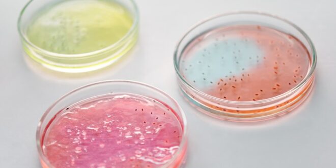 Does Human Microbes Actually Pay