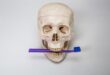 How Thick Is The Human Skull